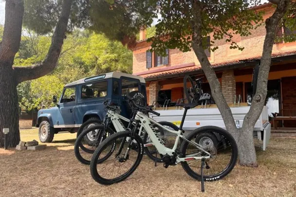 Noleggio mountain bike elettriche